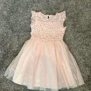 EUC Cat and Jack Pink Tulle dress